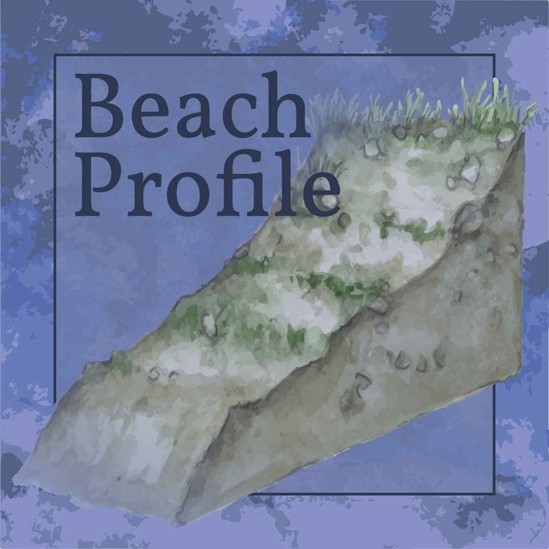 A watercolor image of a sloping beach.