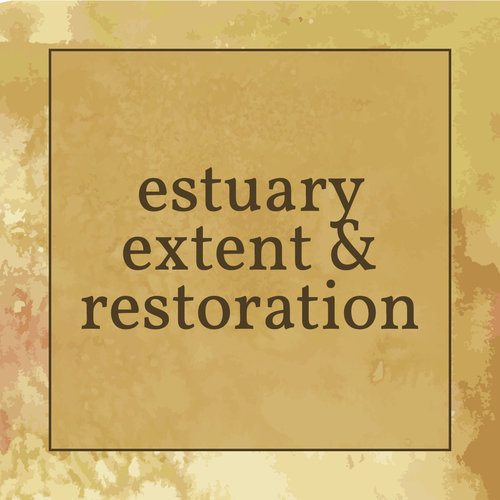 Estuary extent and restoration