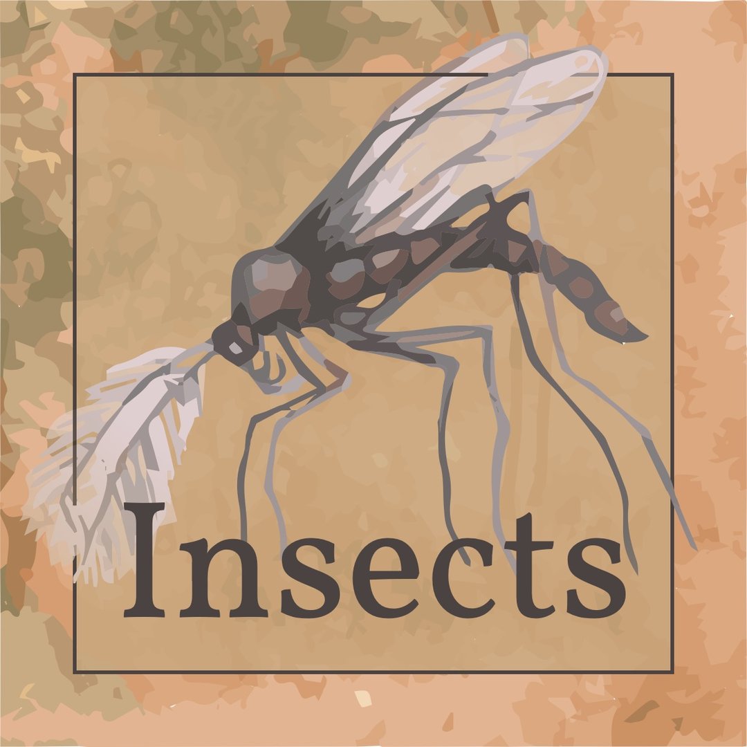 A watercolor image of a flying insect.