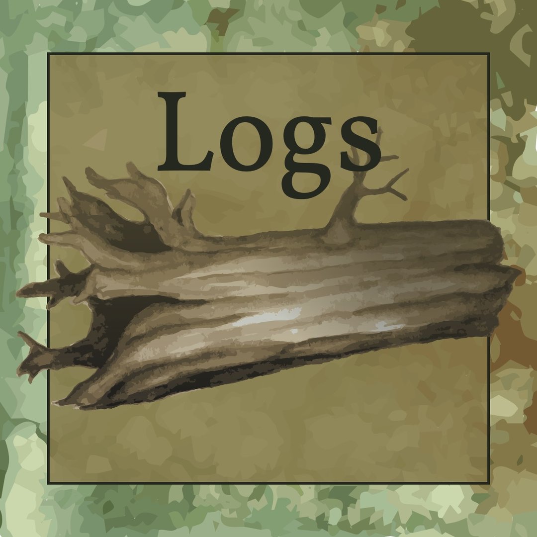 A watercolor image of a driftwood.