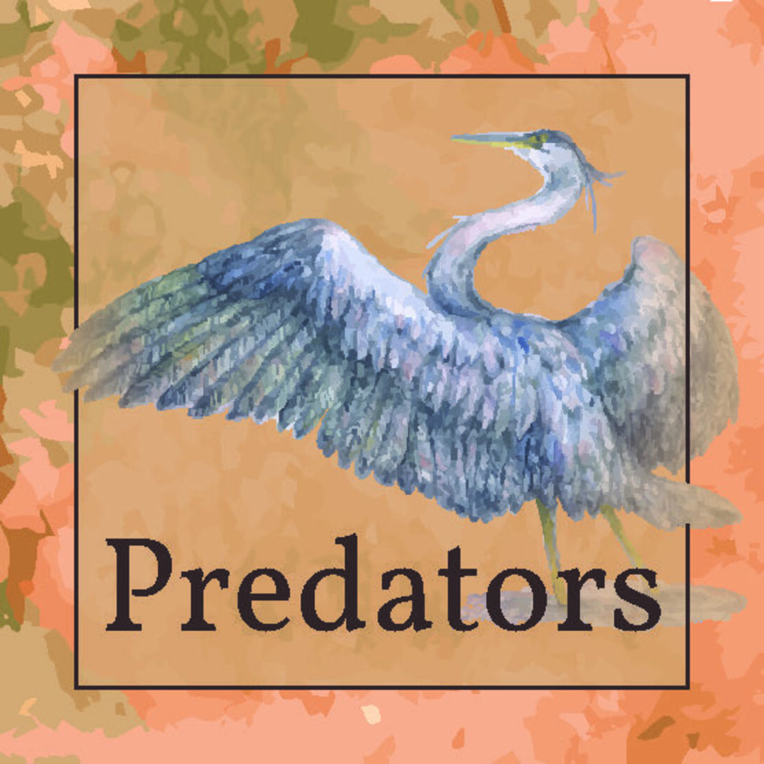 A watercolor image of a great blue heron.